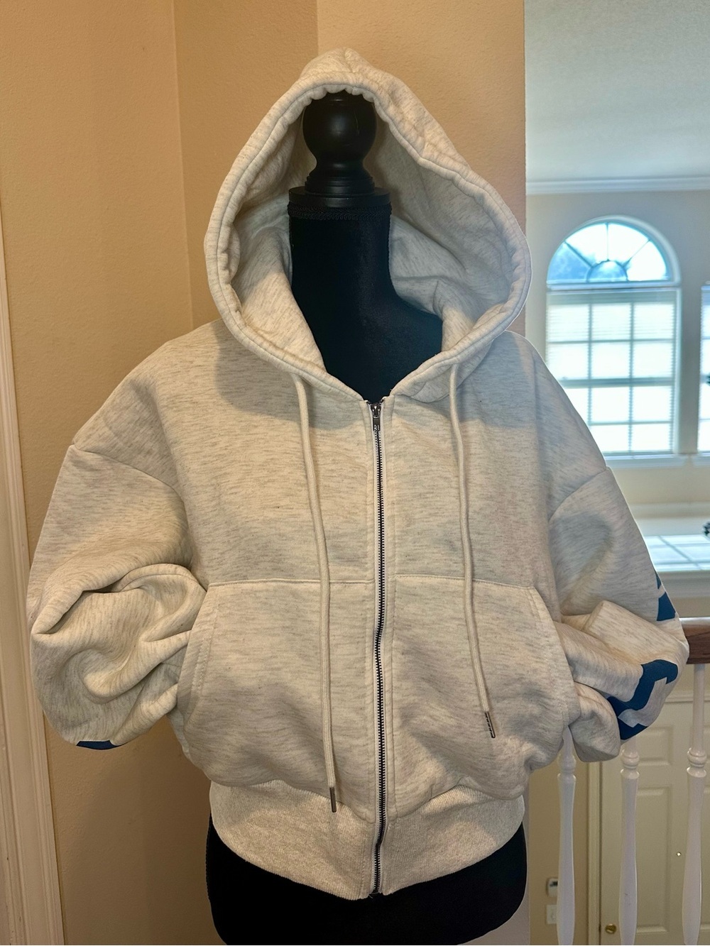 Oversized Cropped Zip Hoodie Fleece Lined Varsity Graphic Streetwear L NWOT - Picture 2 of 11